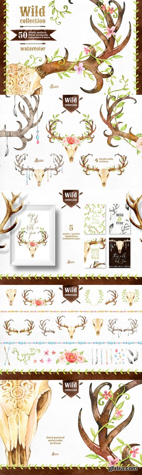 Wild Collection - CM 293347