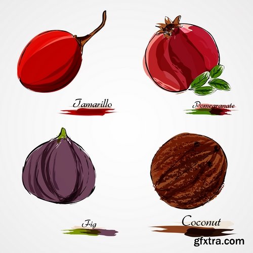 Collection of vector illustration picture different food meal dish menu 2-25 EPS