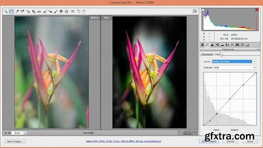 Nondestructive Exposure and Color Correction with Photoshop CC (2014)