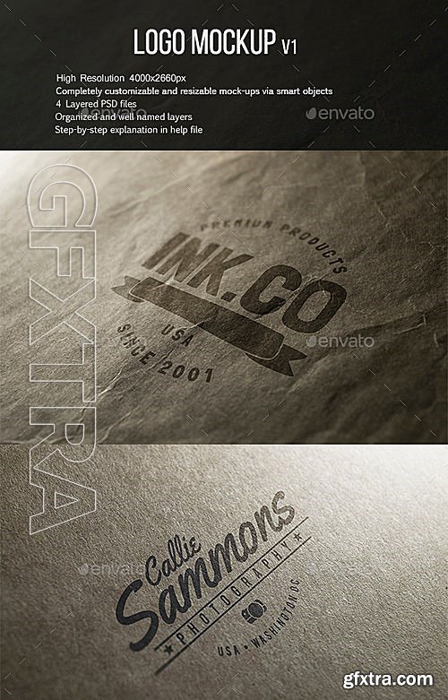 GraphicRiver - Logo Mockup 13471317