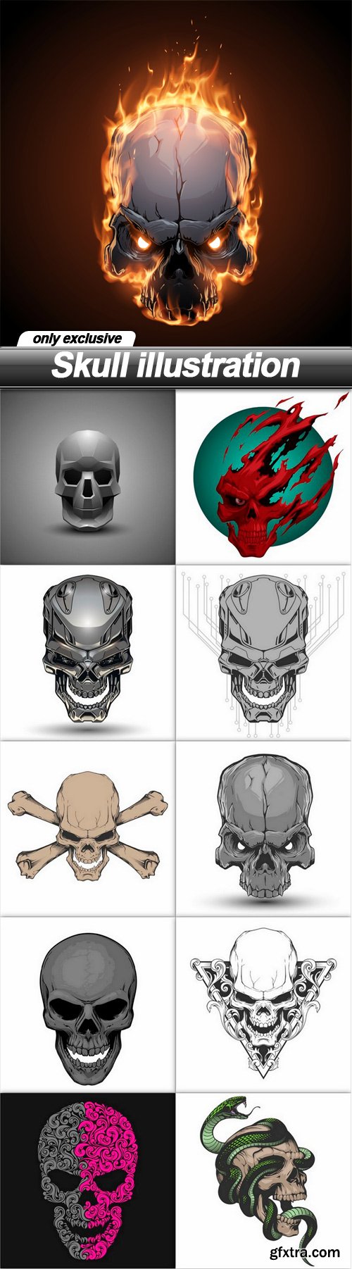 Skull illustration - 11 EPS