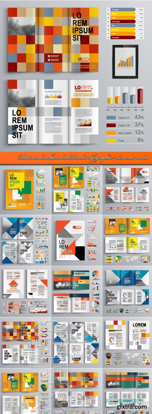 Business brochure booklet and infographic elements vector