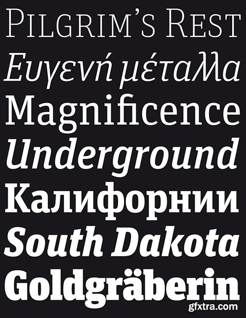 FF Unit Slab OT Collection - 14 fonts $629