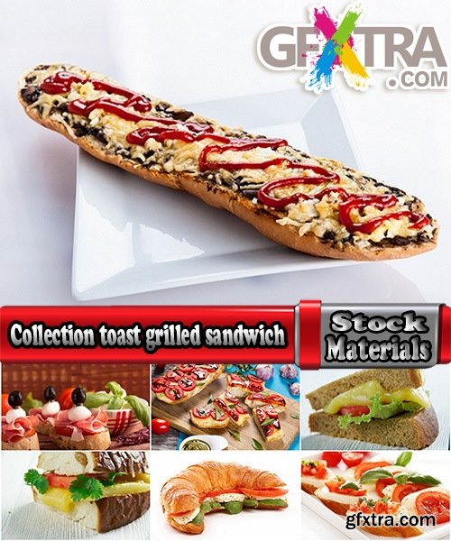 Collection toast grilled sandwich bread sandwich burger 25 HQ Jpeg