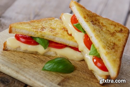 Collection toast grilled sandwich bread sandwich burger 25 HQ Jpeg