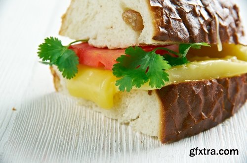 Collection toast grilled sandwich bread sandwich burger 25 HQ Jpeg