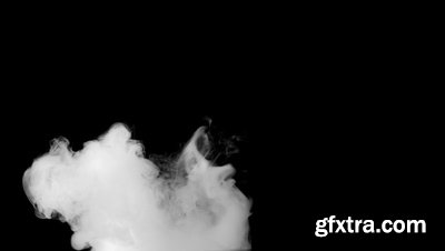 motionVFX - mSmokes [100 Organic 2K Quicktime Smoke Elements]