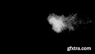 motionVFX - mSmokes [100 Organic 2K Quicktime Smoke Elements]