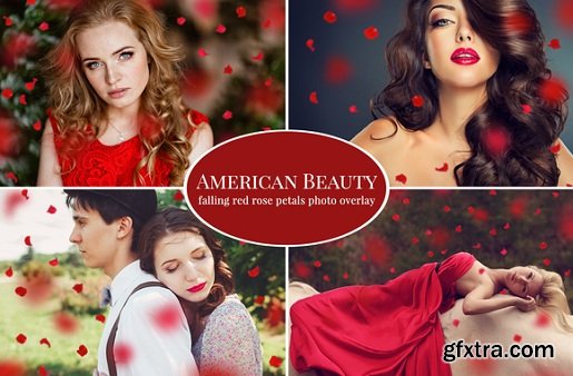 American Beauty- Red petals overlay