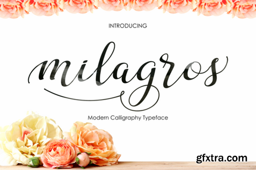 CM - Milagros Script 428566