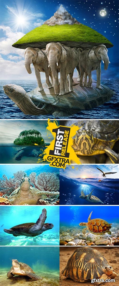 Stock Image Underwater world