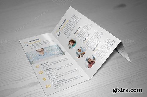 CM - Business Z-fold Brochure 423824