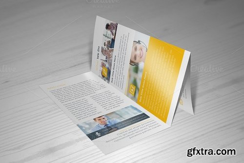 CM - Business Z-fold Brochure 423824