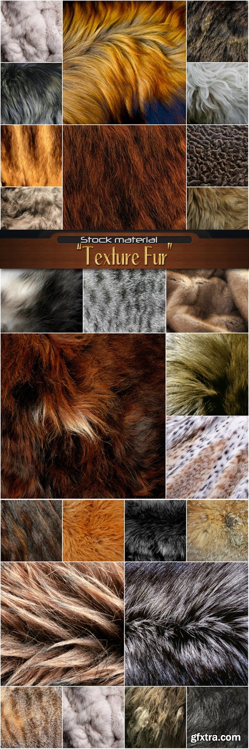 Textures Fur