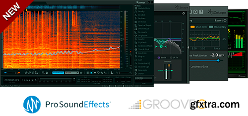 iZotope RX Post Production Suite v1.00 Patched WIN x86 x64 NO iLOK