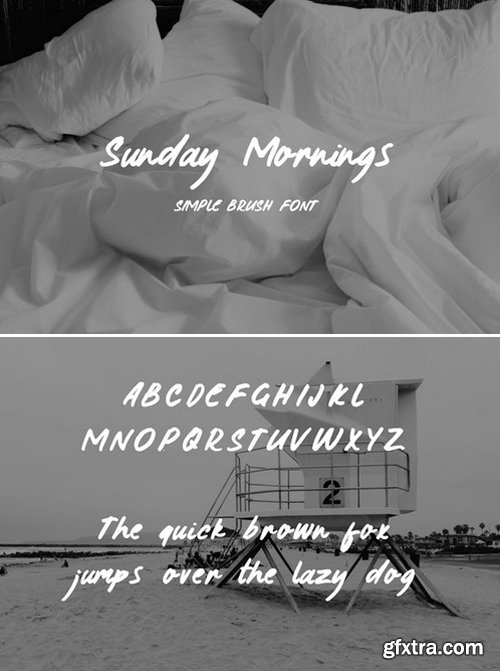 CM - Sunday Morning Brush Typeface 431931