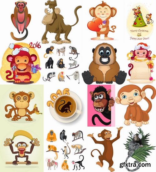 Collection of vector picture cartoon the marmoset monkey 25 EPS