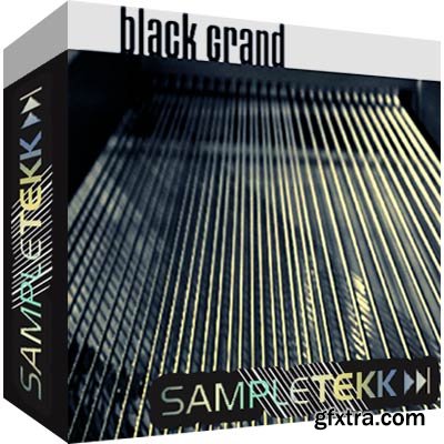 Sampletekk Steinway Black Grand Piano GIGA DVD-BSOUNDZ