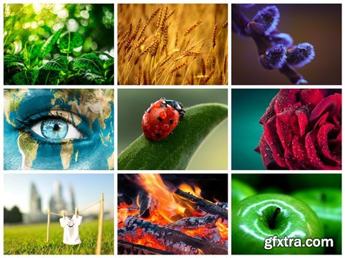 60 Beautiful Macro HD Wallpapers 4