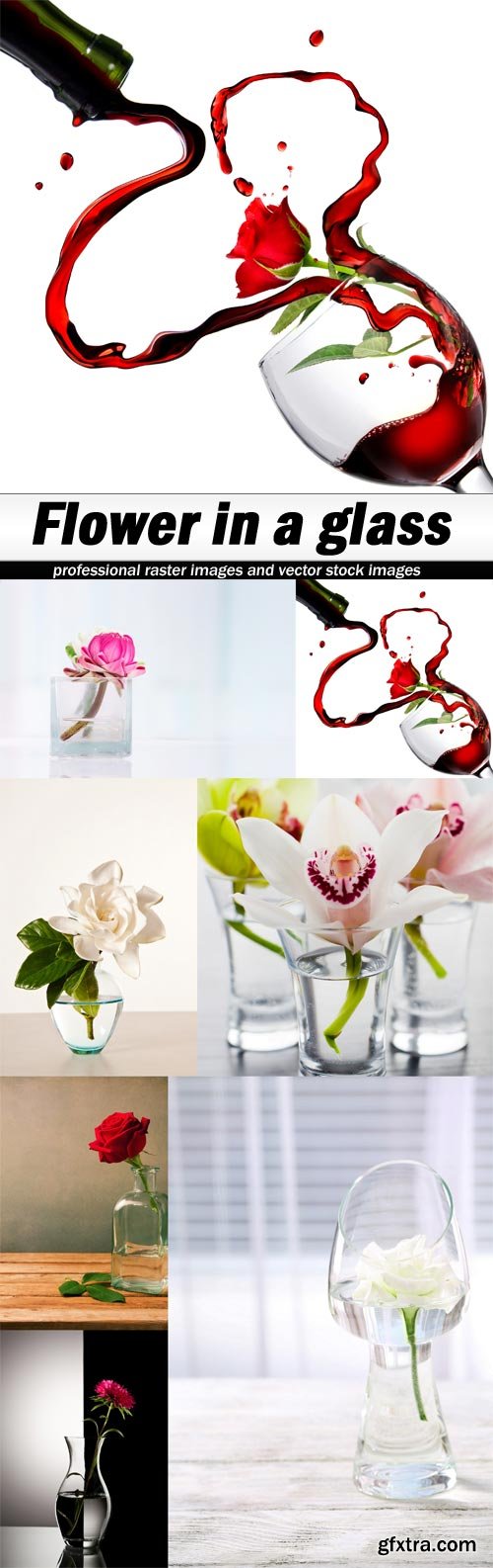 Flower in a glass