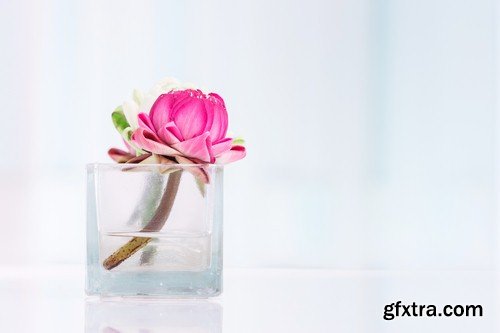 Flower in a glass