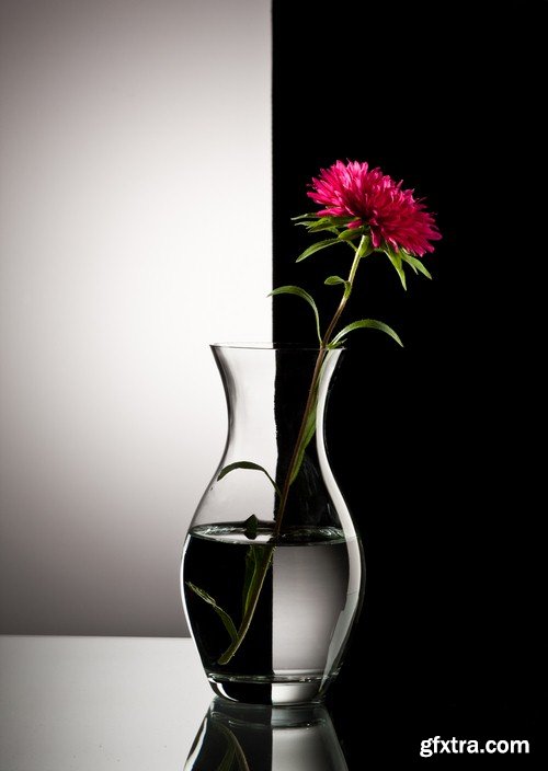 Flower in a glass