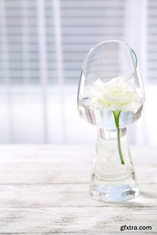 Flower in a glass