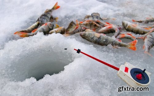 Collection of winter ice frozen river winter fishing rod haul 25 HQ Jpeg