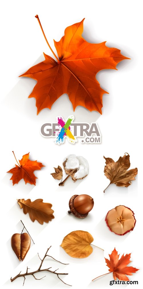 Autumn Icons Vector 3