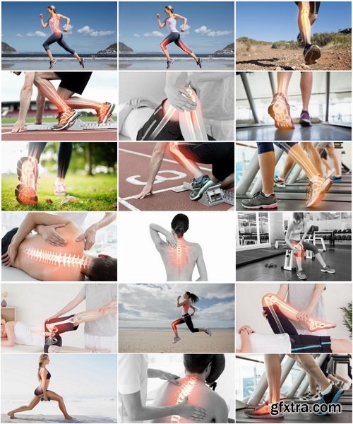 Collection of human bone musculoskeletal trauma recovery run fitness sport 25 HQ Jpeg