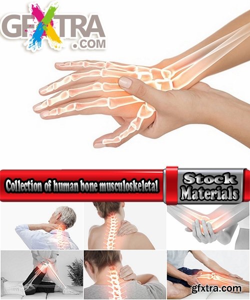 Collection of human bone musculoskeletal trauma recovery run fitness sport 25 HQ Jpeg