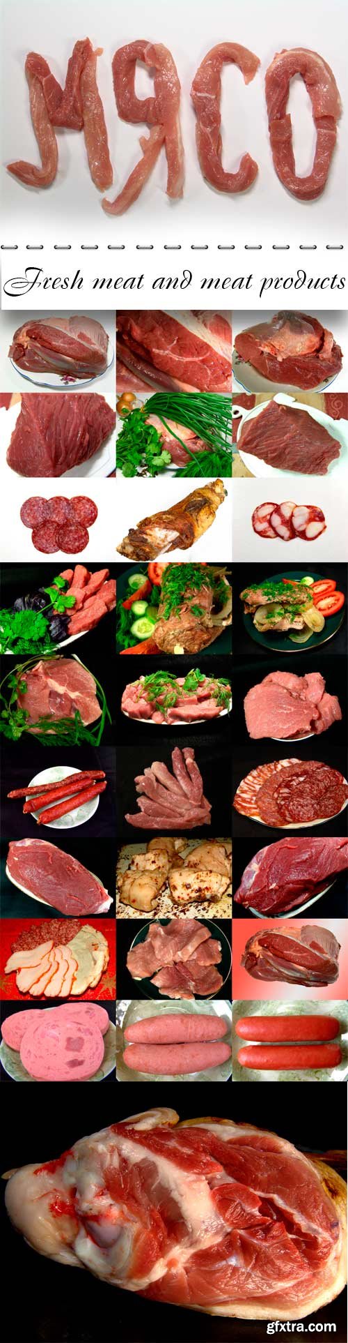 Fresh meat and meat products