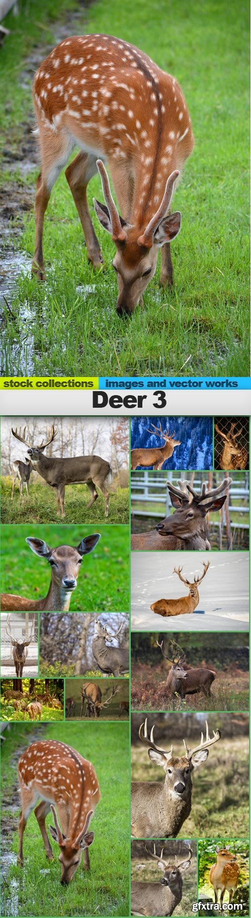 Deer 3, 15 x UHQ JPEG