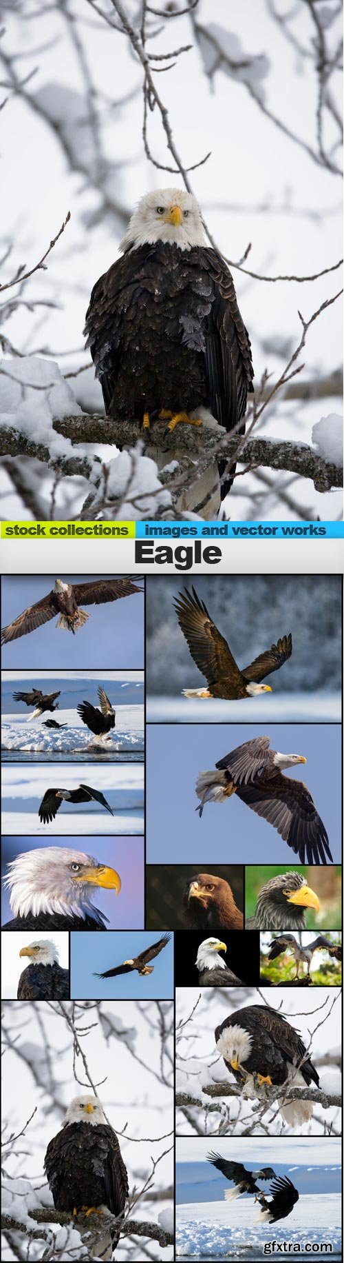 Eagle 1, 15 x UHQ JPEG