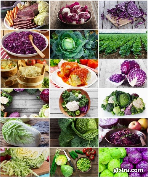 Collection vegetable cabbage salad 25 HQ Jpeg