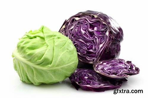 Collection vegetable cabbage salad 25 HQ Jpeg