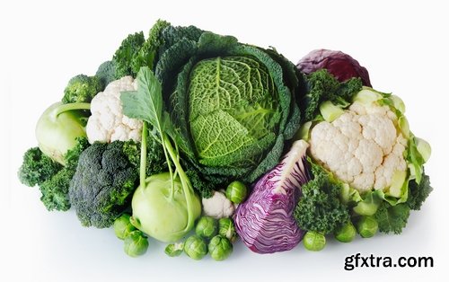 Collection vegetable cabbage salad 25 HQ Jpeg