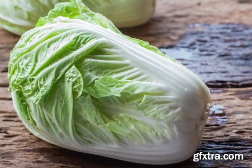 Collection vegetable cabbage salad 25 HQ Jpeg