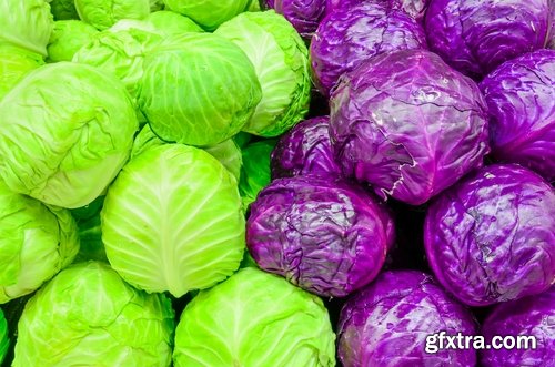 Collection vegetable cabbage salad 25 HQ Jpeg