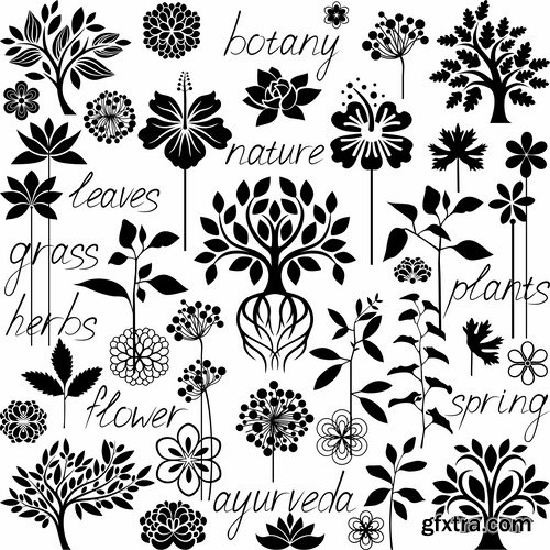 Collection of vector image calligraphic elements plant tree bush flower icon 25 HQ Jpeg