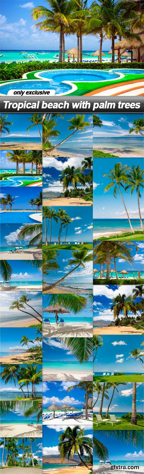 Tropical beach with palm trees - 25 UHQ JPEG