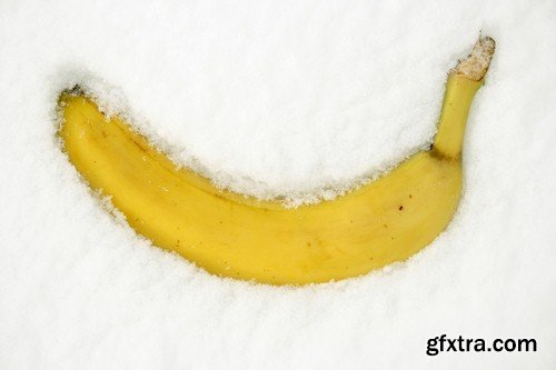 Fruits on the snow