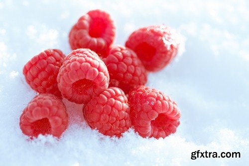 Fruits on the snow