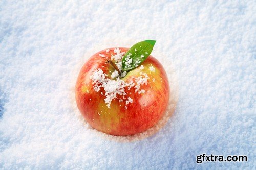 Fruits on the snow