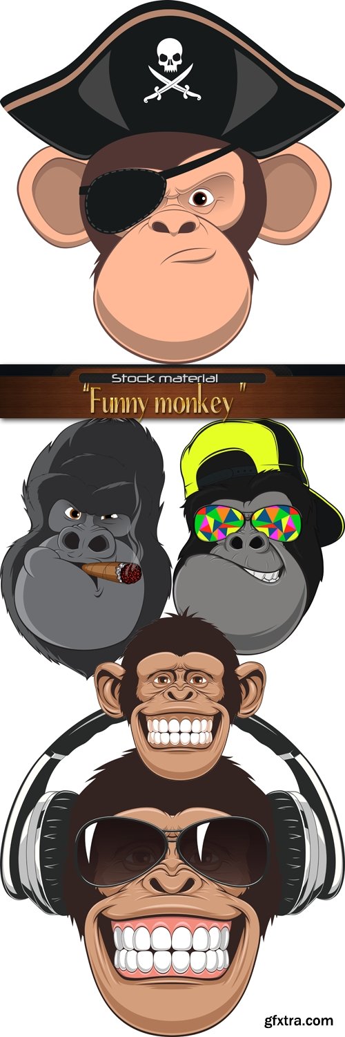 Funny monkey