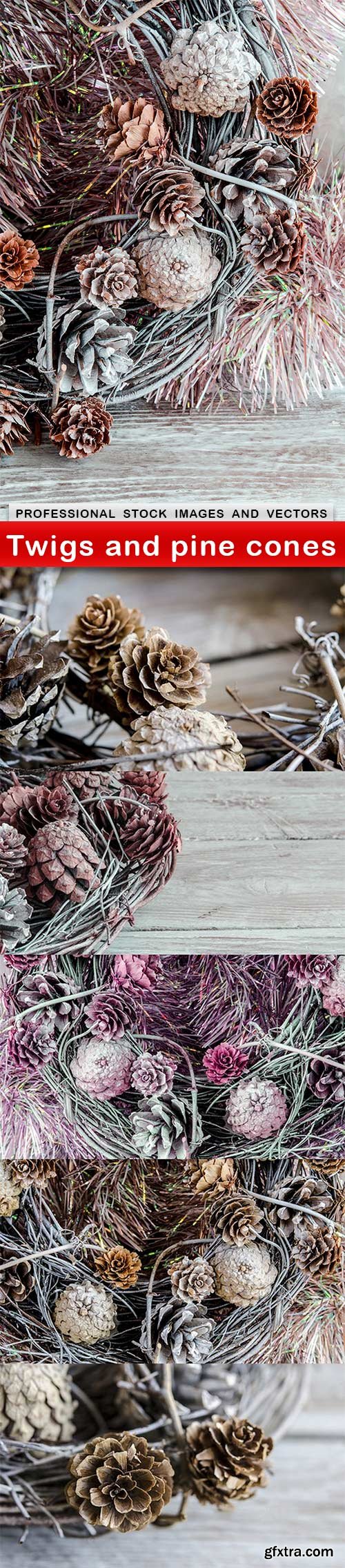 Twigs and pine cones - 6 UHQ JPEG