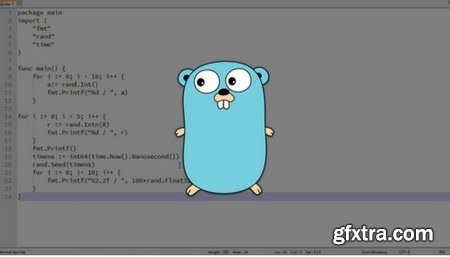 Golang - Learn Google's Go Programming Language