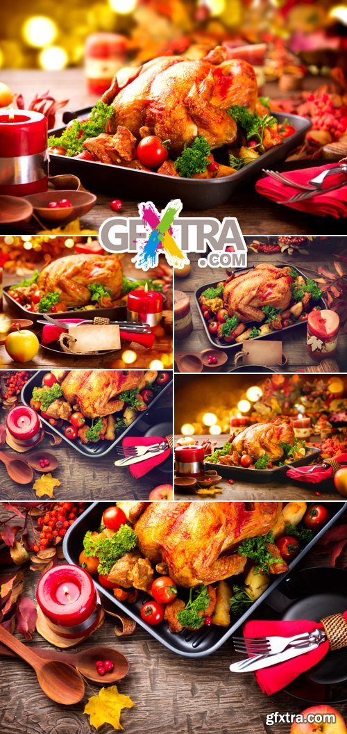 Stock Photo - Christmas Turkey