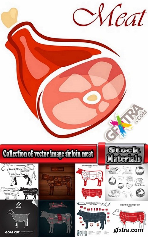 Collection of vector image sirloin meat cattle meat cutting meat cutting scheme 25 EPS