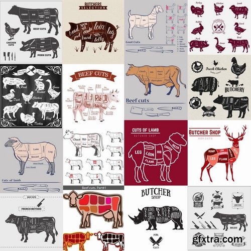 Collection of vector image sirloin meat cattle meat cutting meat cutting scheme 25 EPS